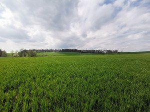 View from North Downs Way