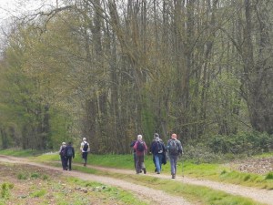 Walkers on the North Downs Way
