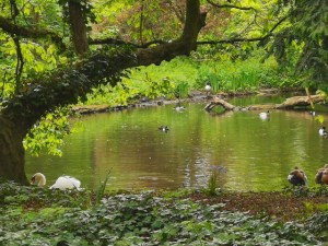 Gunnersbury Triangle Nature Reserve
