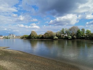 River Thames looking towards Hammersmith