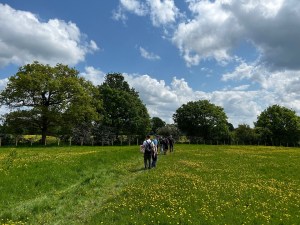 Walkers in a field