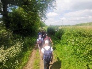 Walkers near Radlett