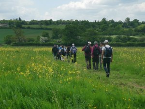 Walking through a field