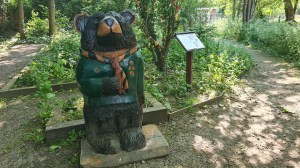 Bear cub (or cub bear)