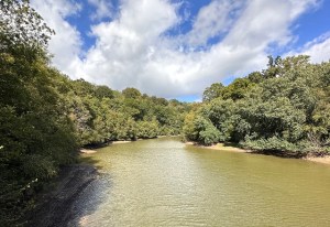 Part of Ardingly Reservoir