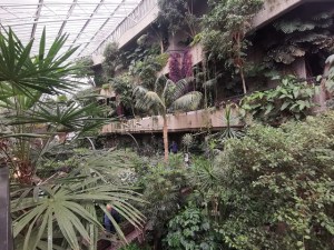 The conservatory at The Barbican