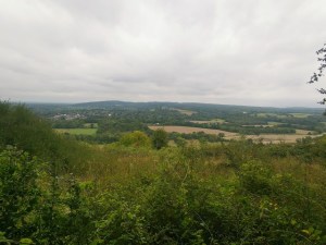 A view of the Surrey Hills