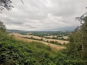 A view near Dorking