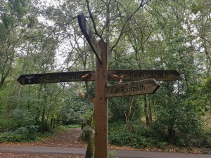 Multiple footpaths sign