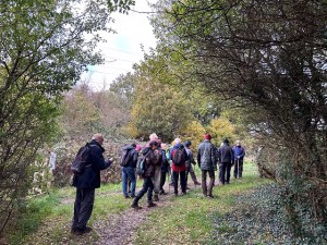 Walkers at Merry Hill, Bushey