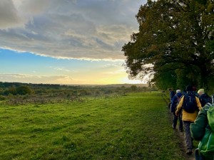 Merry Hill near Bushey