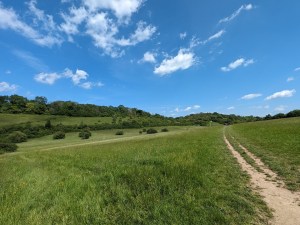 Happy Valley near Coulsdon